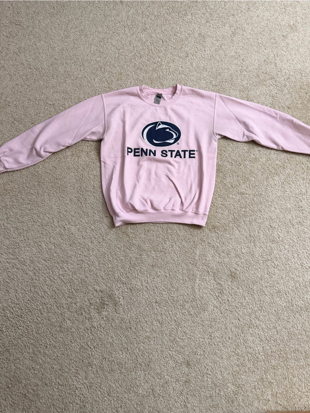 Pink Crewneck PSU Sweatshirt🩷
